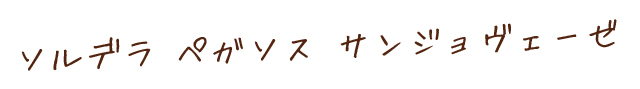 ソルデラ　ペガソスサンジョヴェーゼ